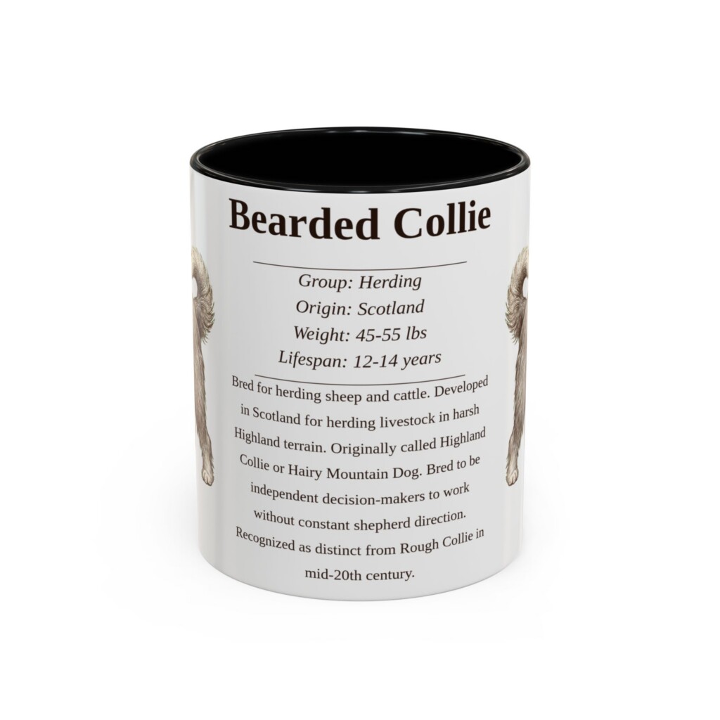 11oz Bearded Collie Mug, Illustrated Dog Breed Facts Coffee Mug, Vintage Dog Keepsake Gift