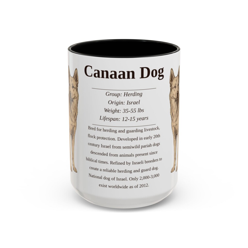 709637303214734480_2048.jpeg 15oz Canaan Dog Mug, Illustrated Dog Breed Facts Coffee Mug, Vintage Dog Keepsake Gift