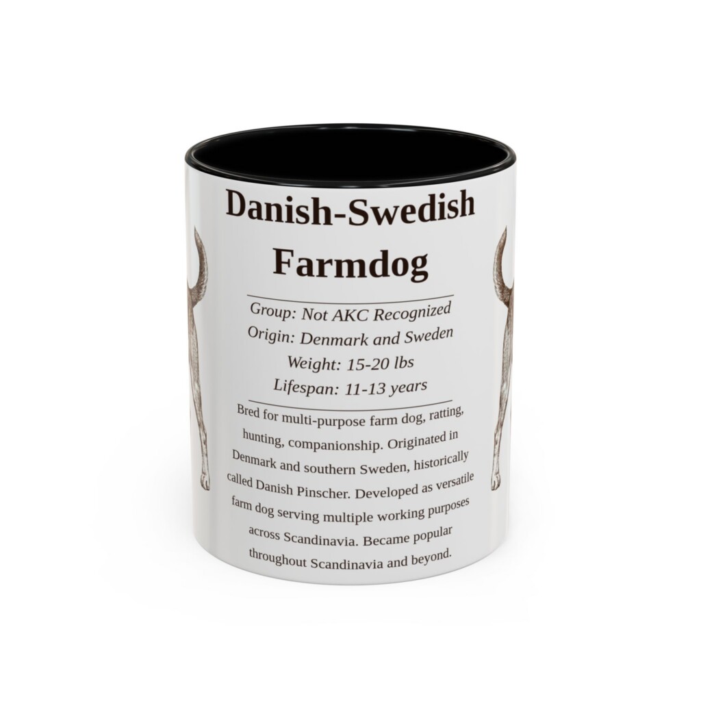 11oz Danish-Swedish Farmdog Mug, Illustrated Dog Breed Facts Coffee Mug, Vintage Dog Keepsake Gift