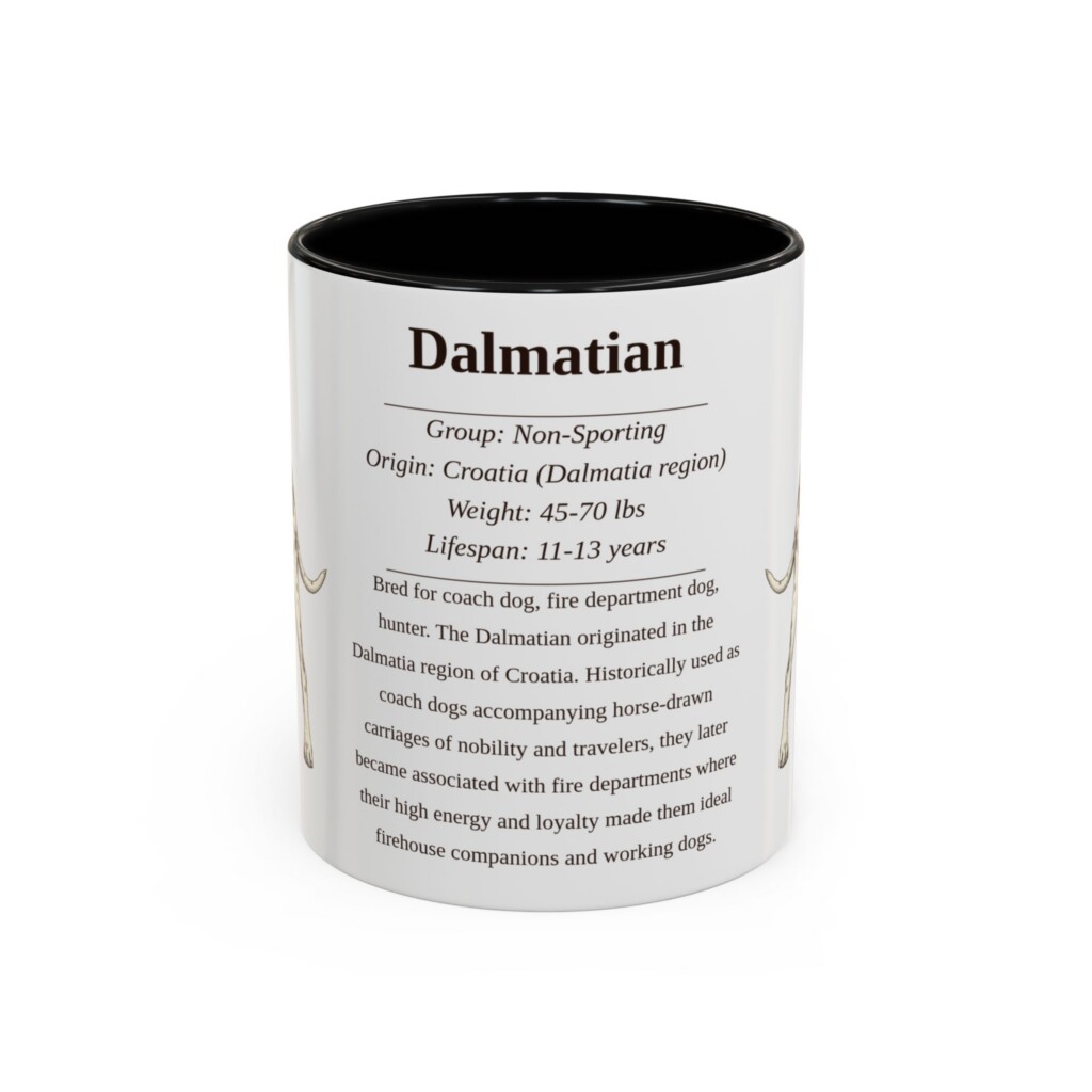 11oz Dalmatian Mug, Illustrated Dog Breed Facts Coffee Mug, Vintage Dog Keepsake Gift