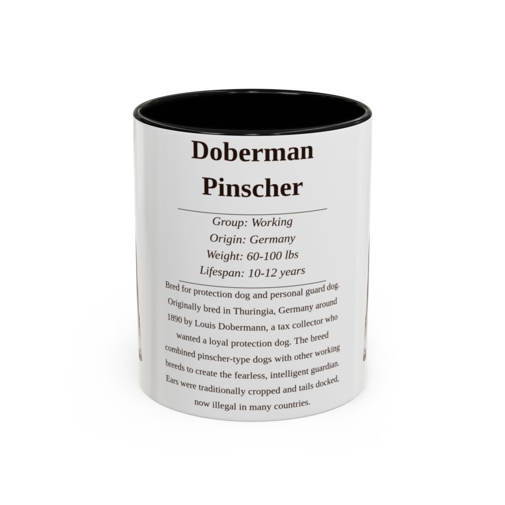 8641205647555006304_2048.jpeg 11oz Doberman Pinscher Mug, Illustrated Dog Breed Facts Coffee Mug, Vintage Dog Keepsake Gift
