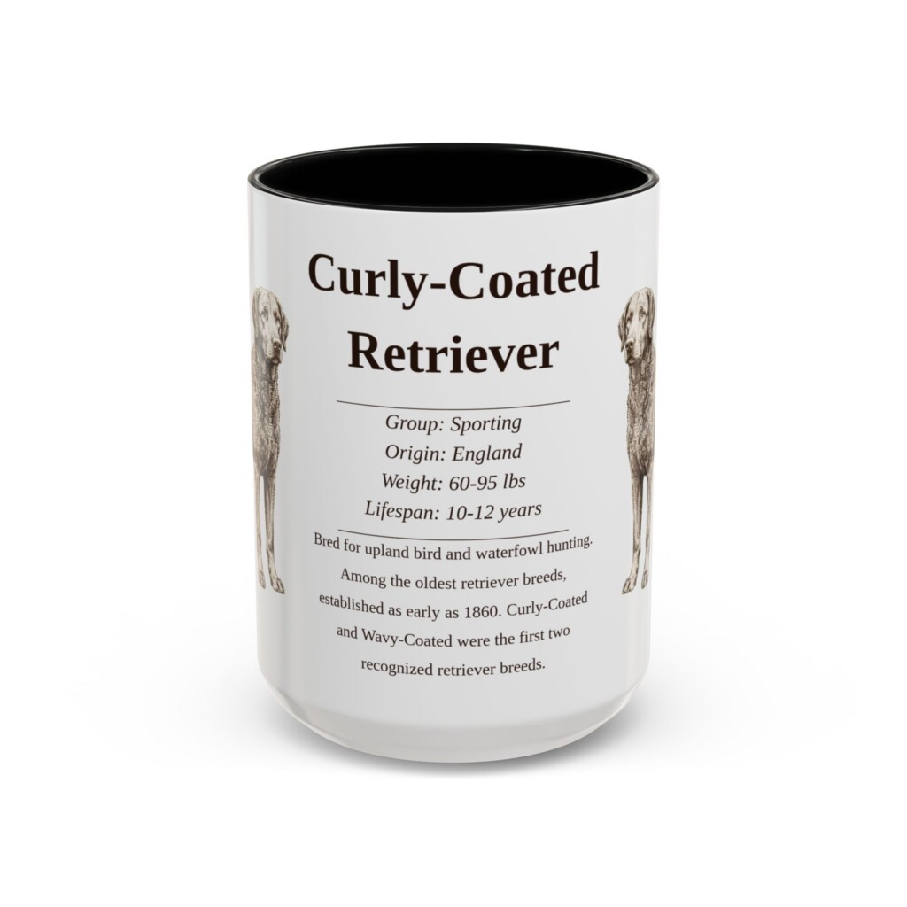 15oz Curly-Coated Retriever Mug, Illustrated Dog Breed Facts Coffee Mug, Vintage Dog Keepsake Gift