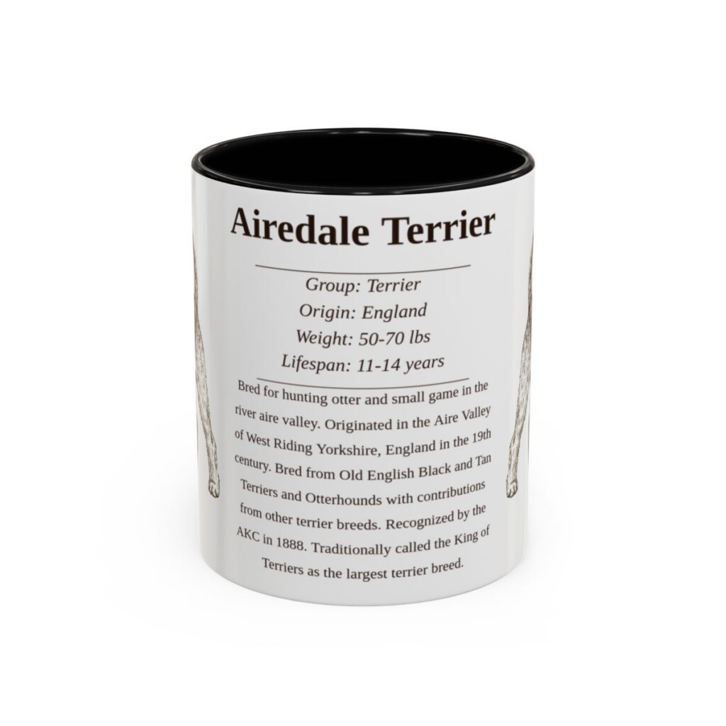 Airedale Terrier Writeup Shirt, Vintage Dog Sketch Tee, Dog Writeup Gift