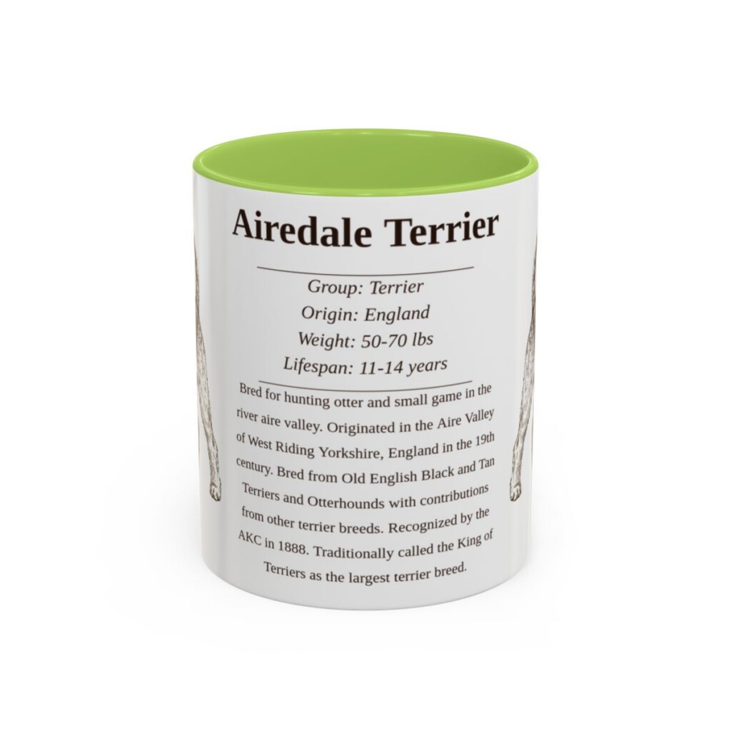 Airedale Terrier Writeup Shirt, Vintage Dog Sketch Tee, Dog Writeup Gift