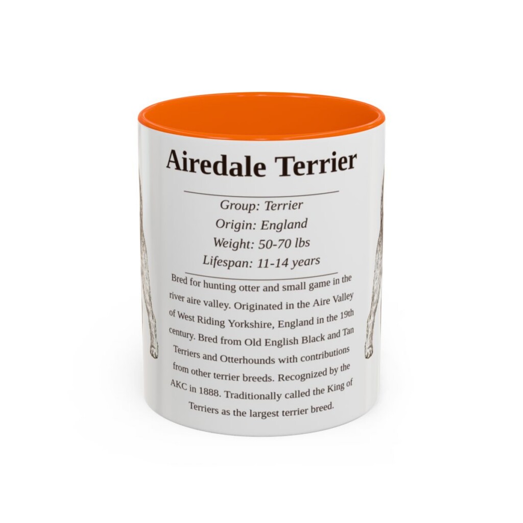 Airedale Terrier Writeup Shirt, Vintage Dog Sketch Tee, Dog Writeup Gift
