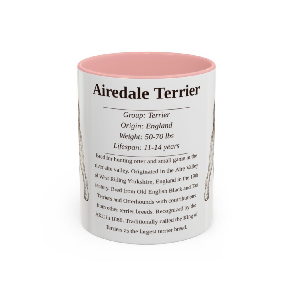 Airedale Terrier Writeup Shirt, Vintage Dog Sketch Tee, Dog Writeup Gift