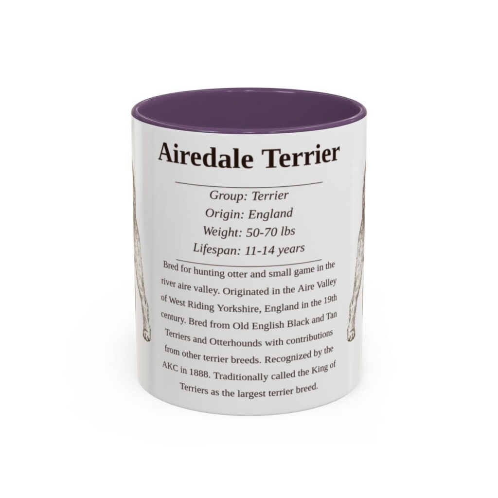 Airedale Terrier Writeup Shirt, Vintage Dog Sketch Tee, Dog Writeup Gift