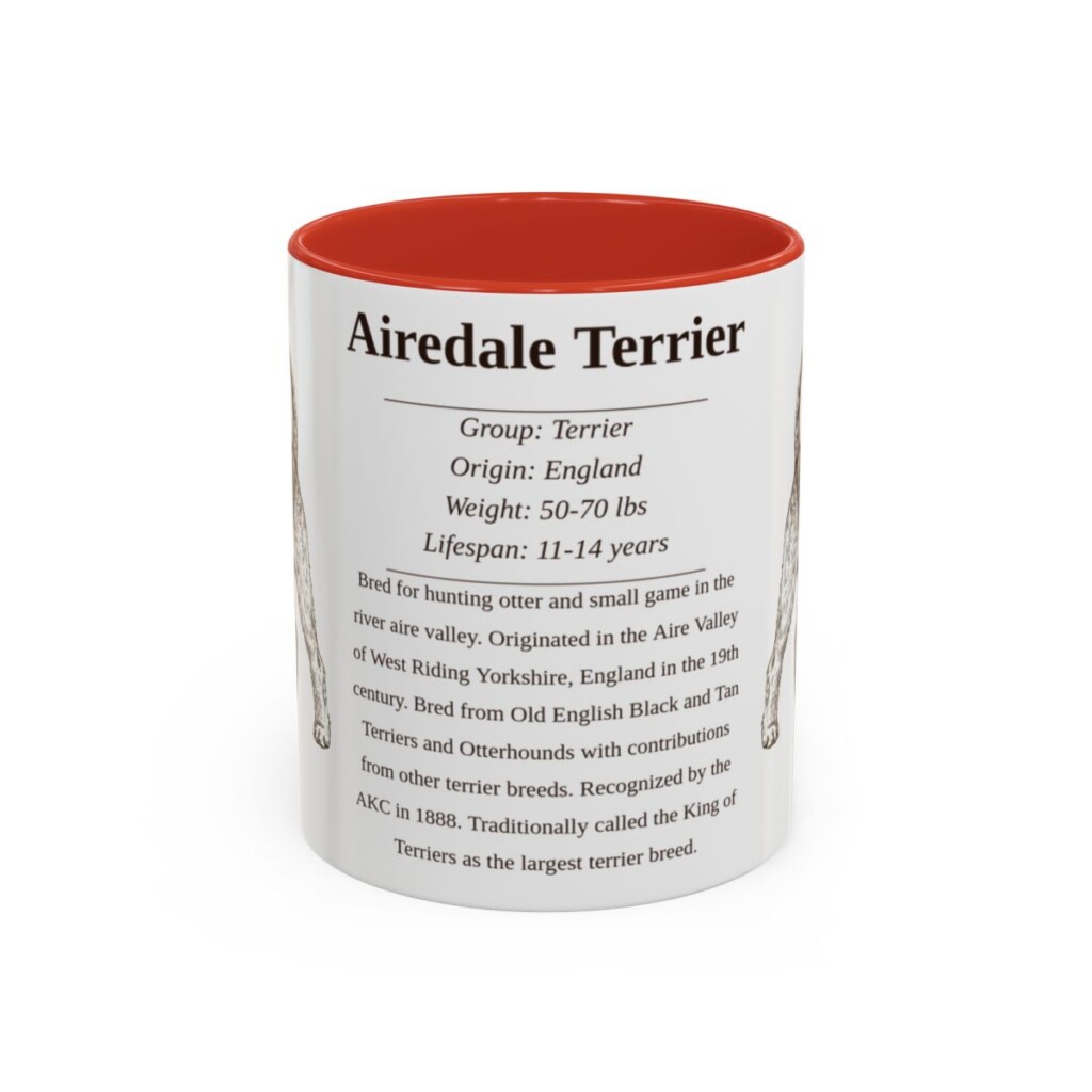 Airedale Terrier Writeup Shirt, Vintage Dog Sketch Tee, Dog Writeup Gift