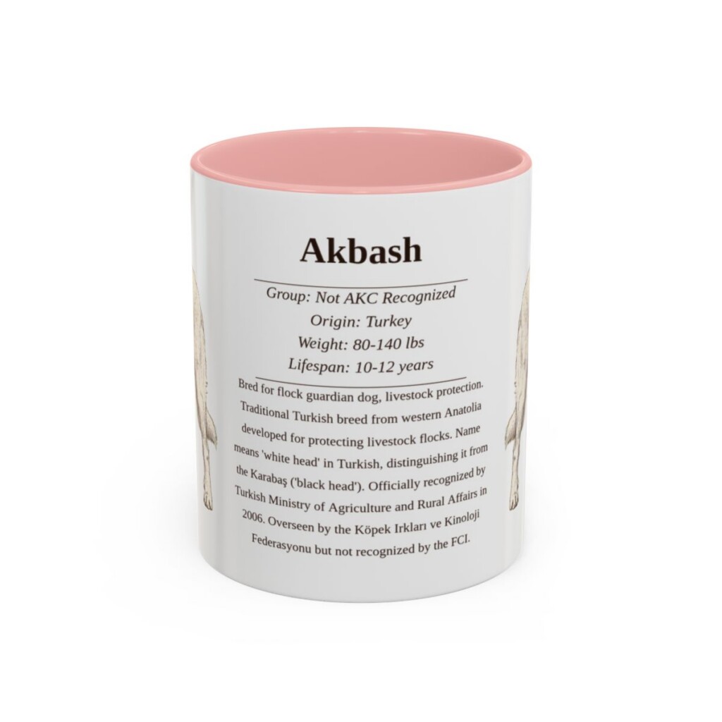 Akbash Writeup Shirt, Vintage Dog Sketch Tee, Dog Writeup Gift