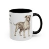 11oz American Bulldog Latin Mug, American Bulldog, Vintage Dog Coffee Mug, Dog Lover Gift