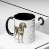 American English Coonhound Writeup Shirt, Vintage Dog Sketch Tee, Dog Writeup Gift