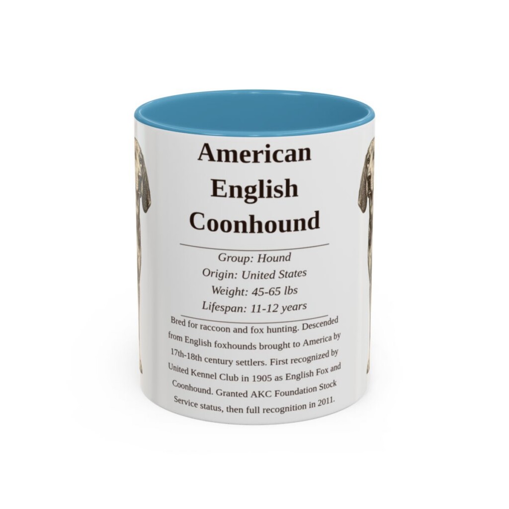American English Coonhound Writeup Shirt, Vintage Dog Sketch Tee, Dog Writeup Gift