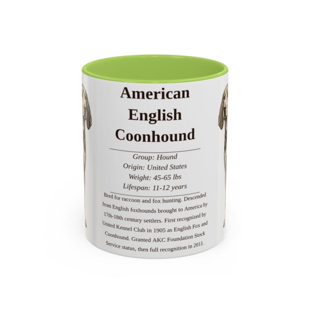 American English Coonhound Writeup Shirt, Vintage Dog Sketch Tee, Dog Writeup Gift