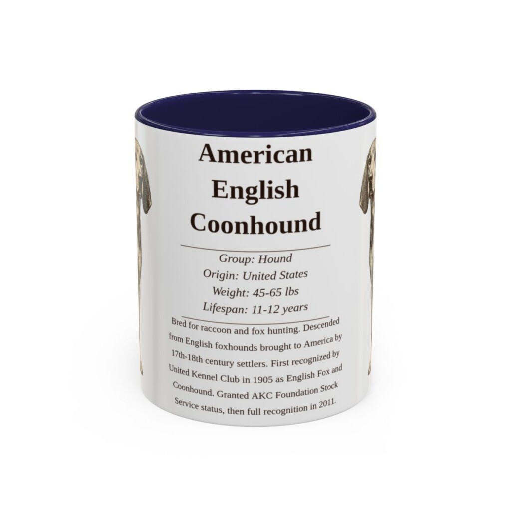 American English Coonhound Writeup Shirt, Vintage Dog Sketch Tee, Dog Writeup Gift