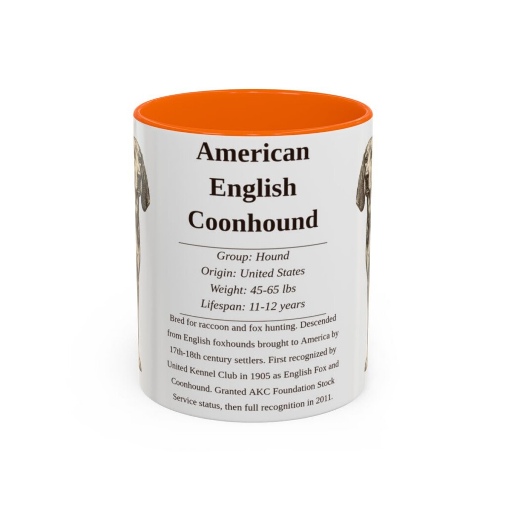 American English Coonhound Writeup Shirt, Vintage Dog Sketch Tee, Dog Writeup Gift