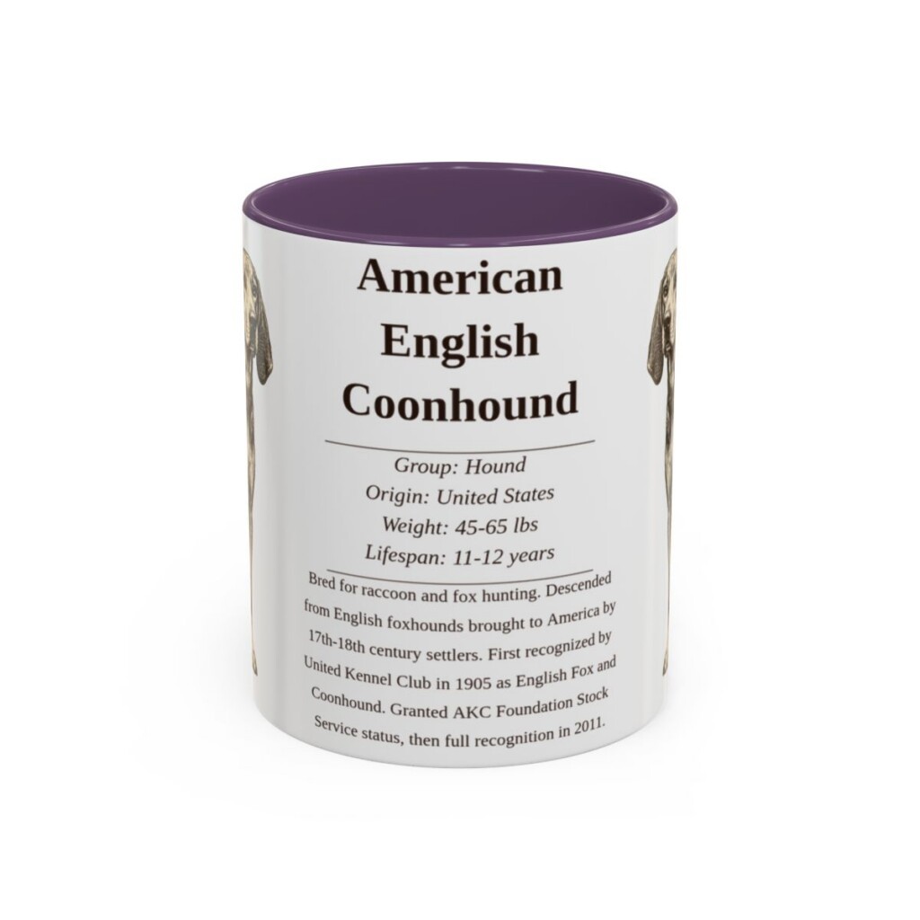 American English Coonhound Writeup Shirt, Vintage Dog Sketch Tee, Dog Writeup Gift