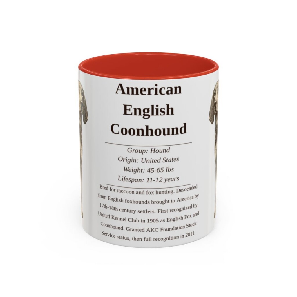American English Coonhound Writeup Shirt, Vintage Dog Sketch Tee, Dog Writeup Gift