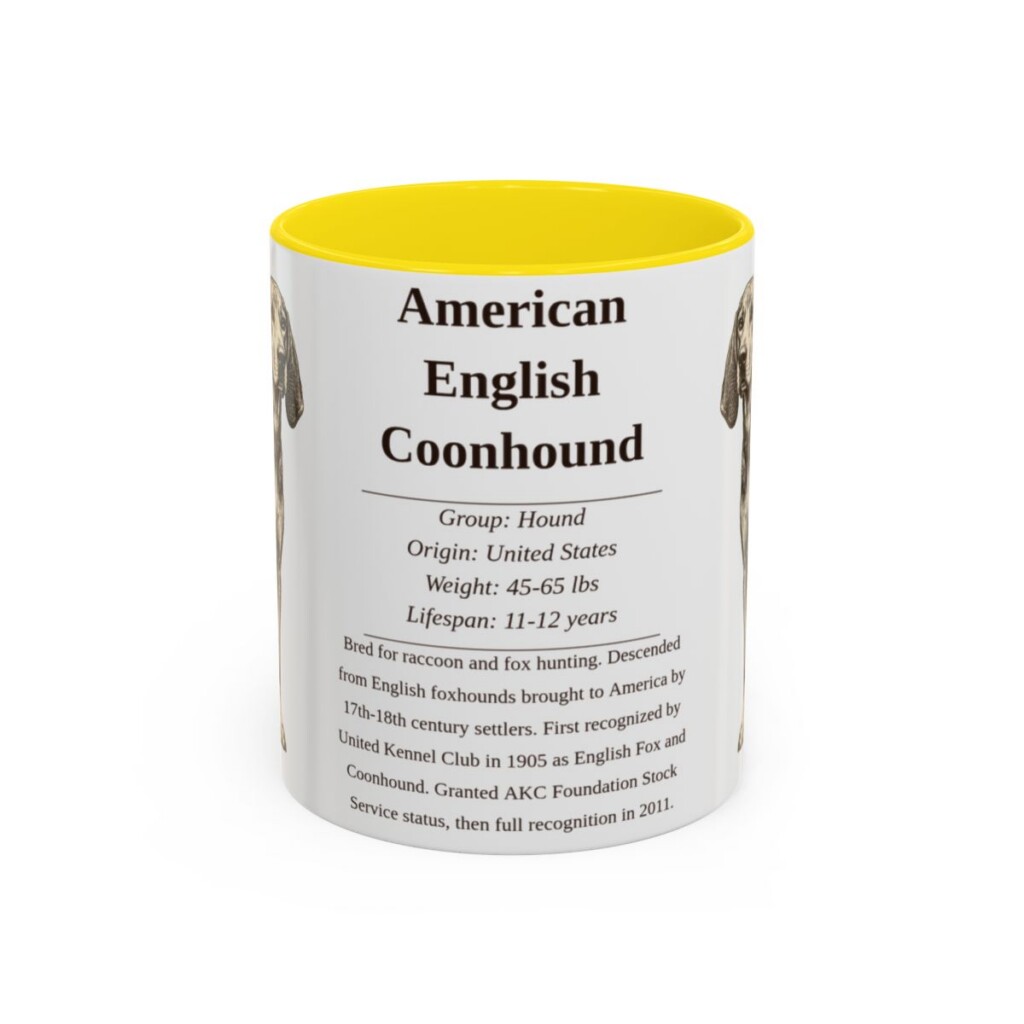 American English Coonhound Writeup Shirt, Vintage Dog Sketch Tee, Dog Writeup Gift