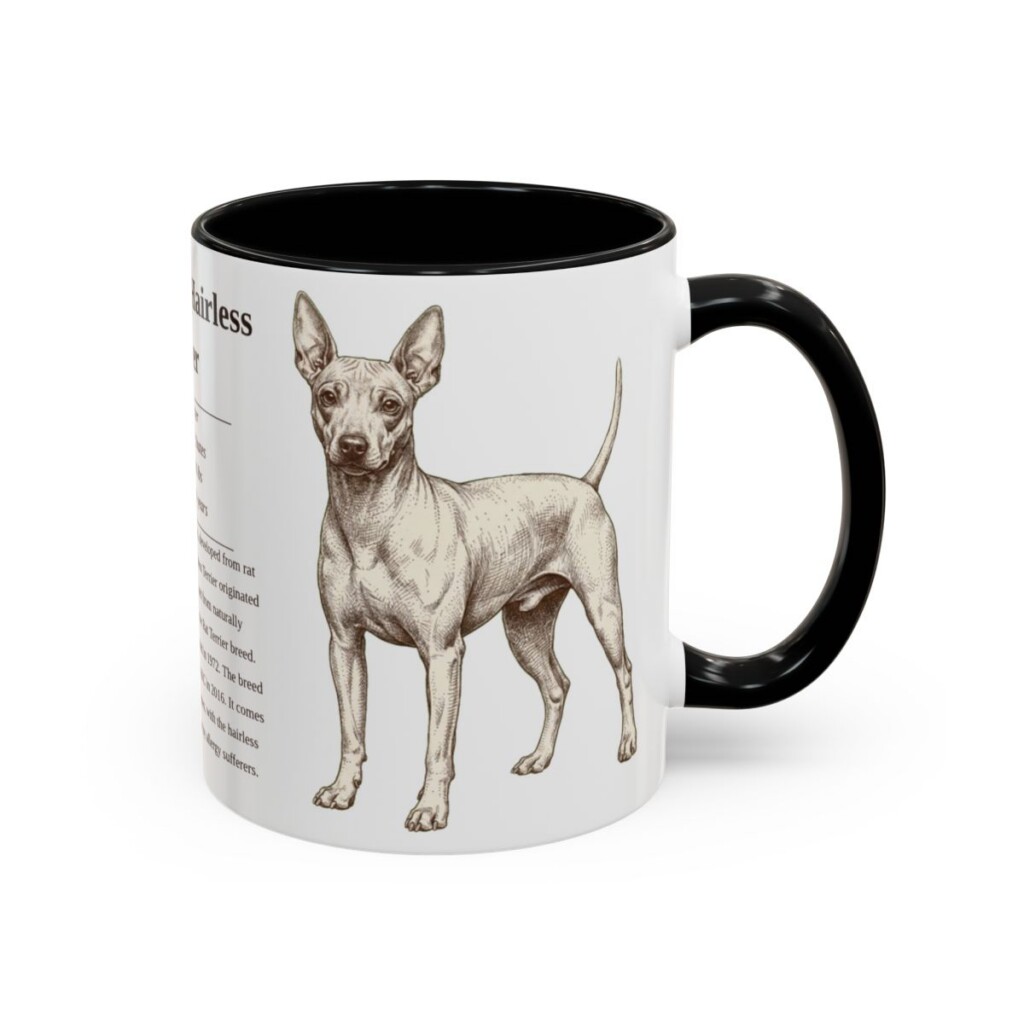11oz American Hairless Terrier Mug, Illustrated Dog Breed Facts Coffee Mug, Vintage Dog Keepsake Gift