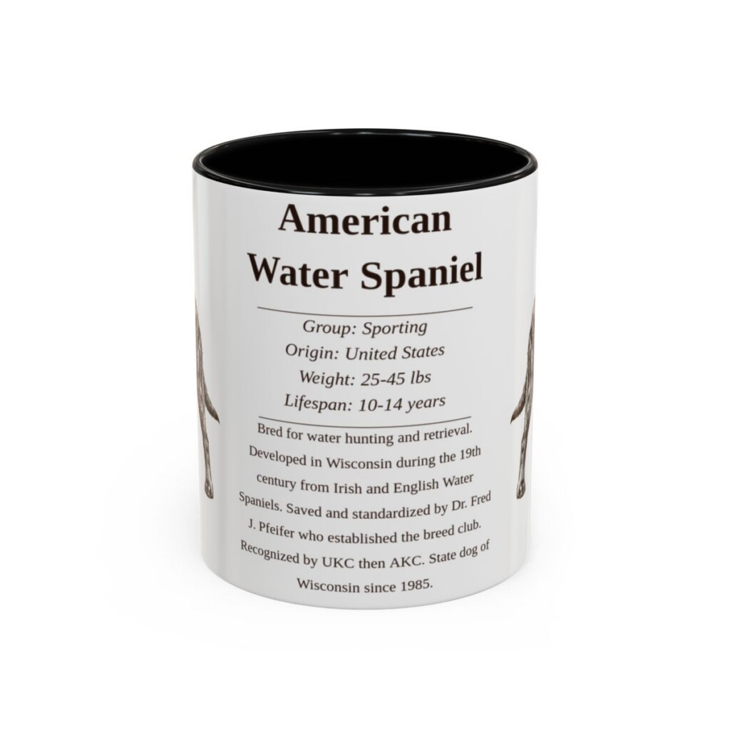 11oz American Water Spaniel Mug, Illustrated Dog Breed Facts Coffee Mug, Vintage Dog Keepsake Gift