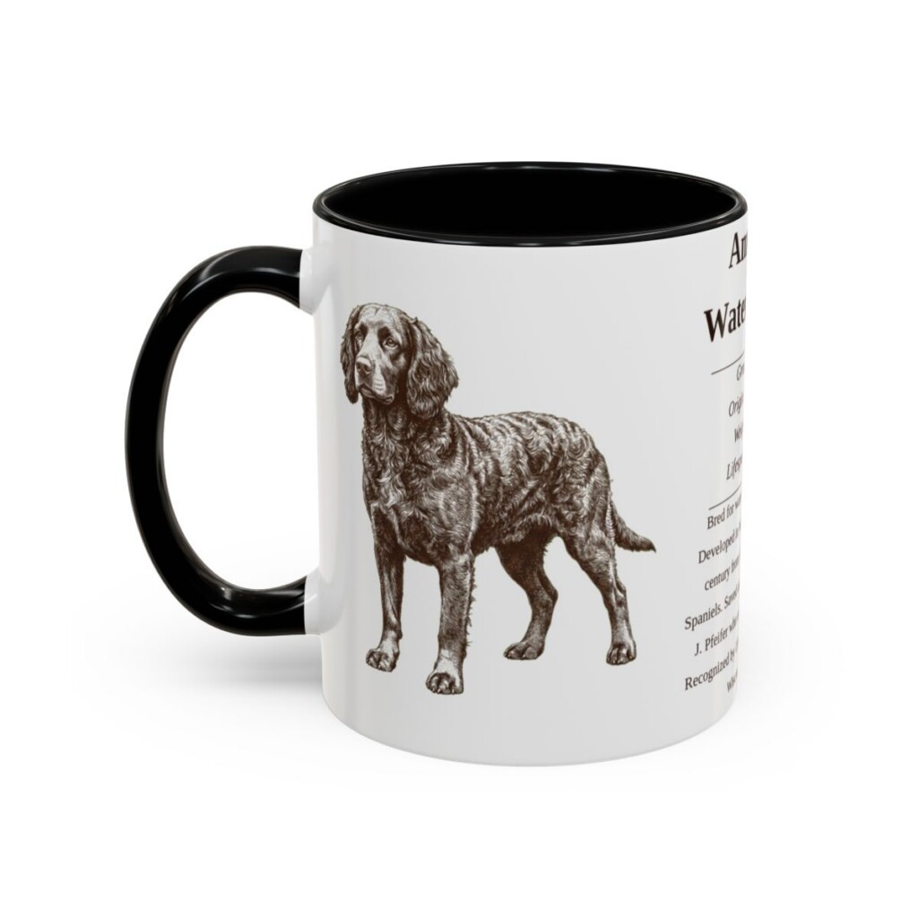11oz American Water Spaniel Mug, Illustrated Dog Breed Facts Coffee Mug, Vintage Dog Keepsake Gift