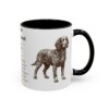 11oz American Water Spaniel Mug, Illustrated Dog Breed Facts Coffee Mug, Vintage Dog Keepsake Gift