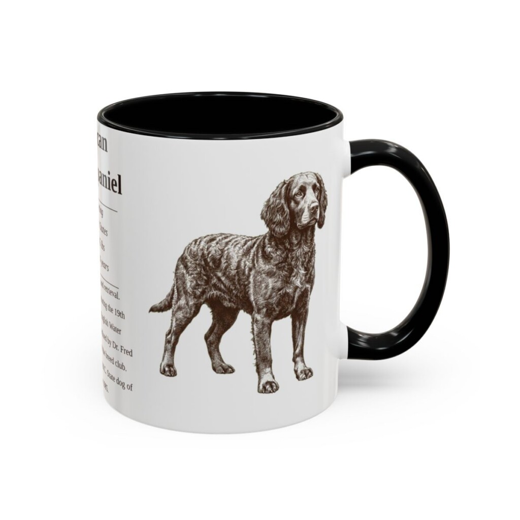 11oz American Water Spaniel Mug, Illustrated Dog Breed Facts Coffee Mug, Vintage Dog Keepsake Gift