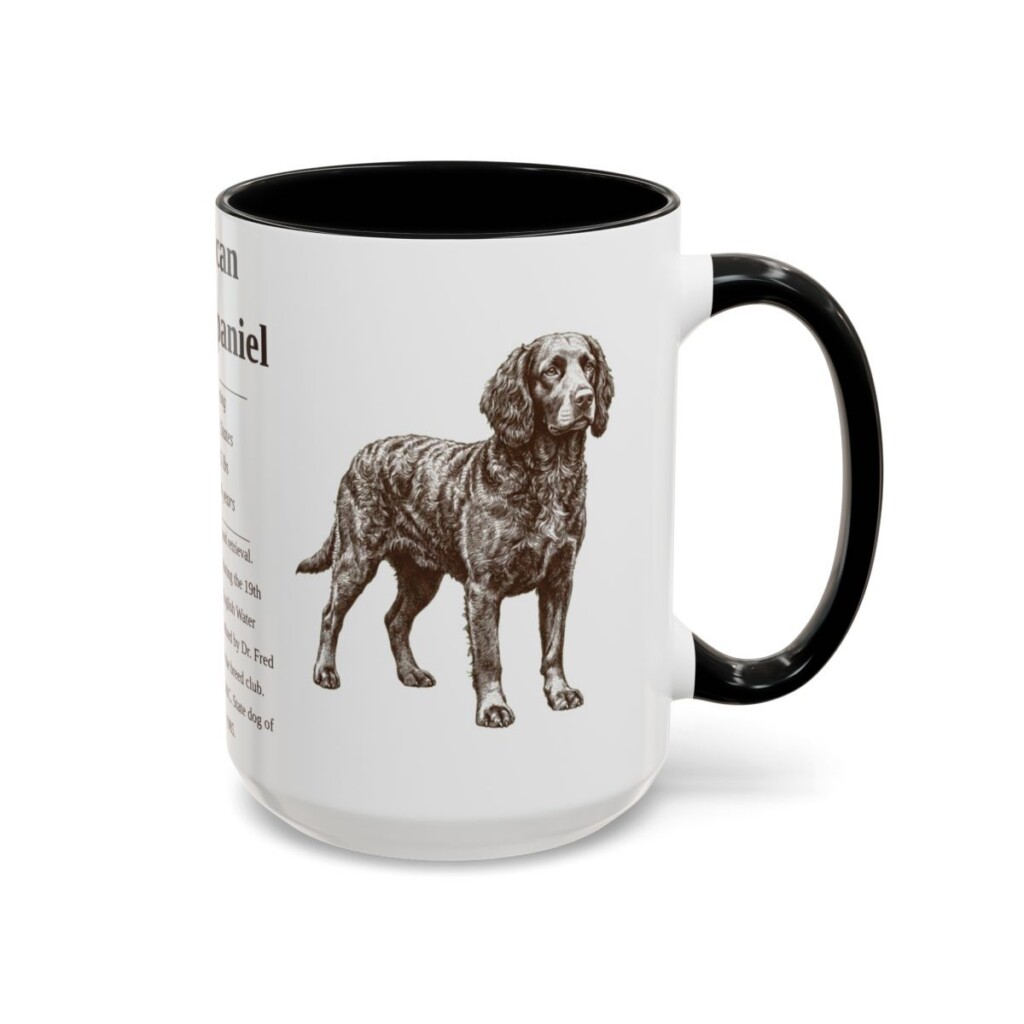 15oz American Water Spaniel Mug, Illustrated Dog Breed Facts Coffee Mug, Vintage Dog Keepsake Gift