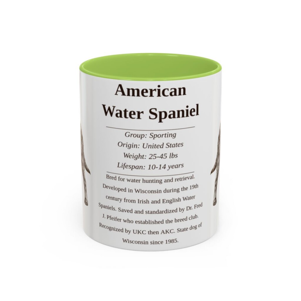 11oz American Water Spaniel Mug, Illustrated Dog Breed Facts Coffee Mug, Vintage Dog Keepsake Gift