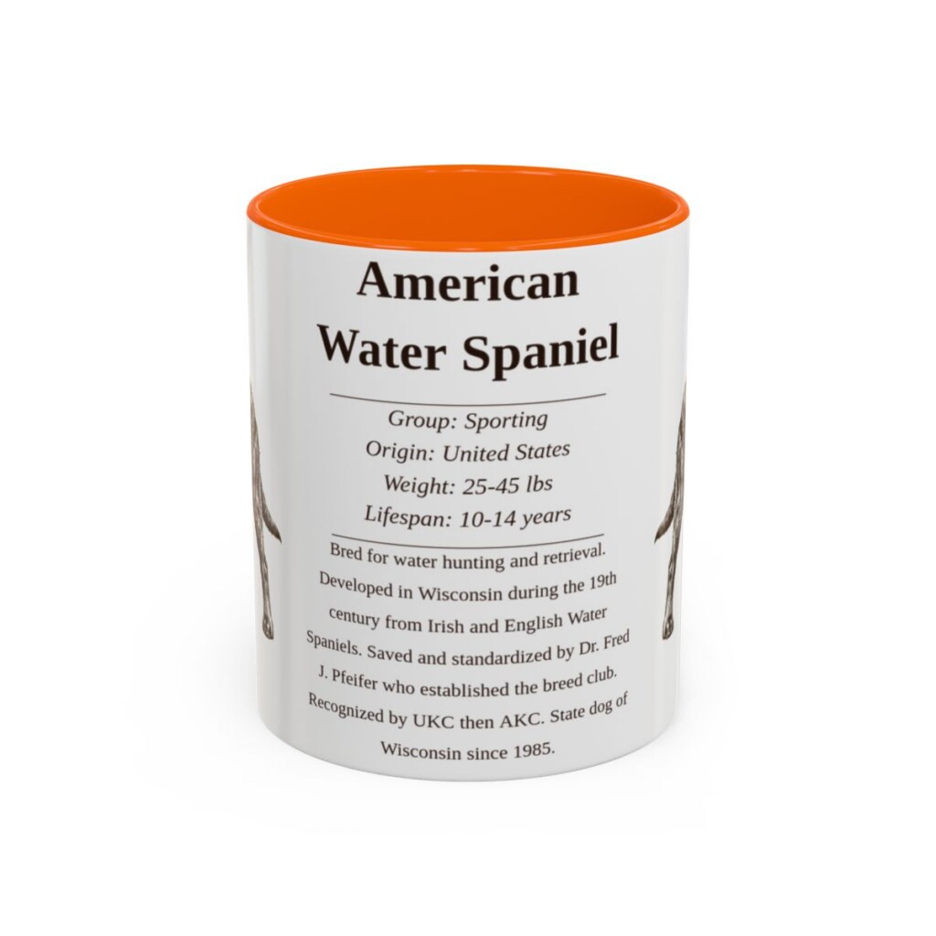 11oz American Water Spaniel Mug, Illustrated Dog Breed Facts Coffee Mug, Vintage Dog Keepsake Gift