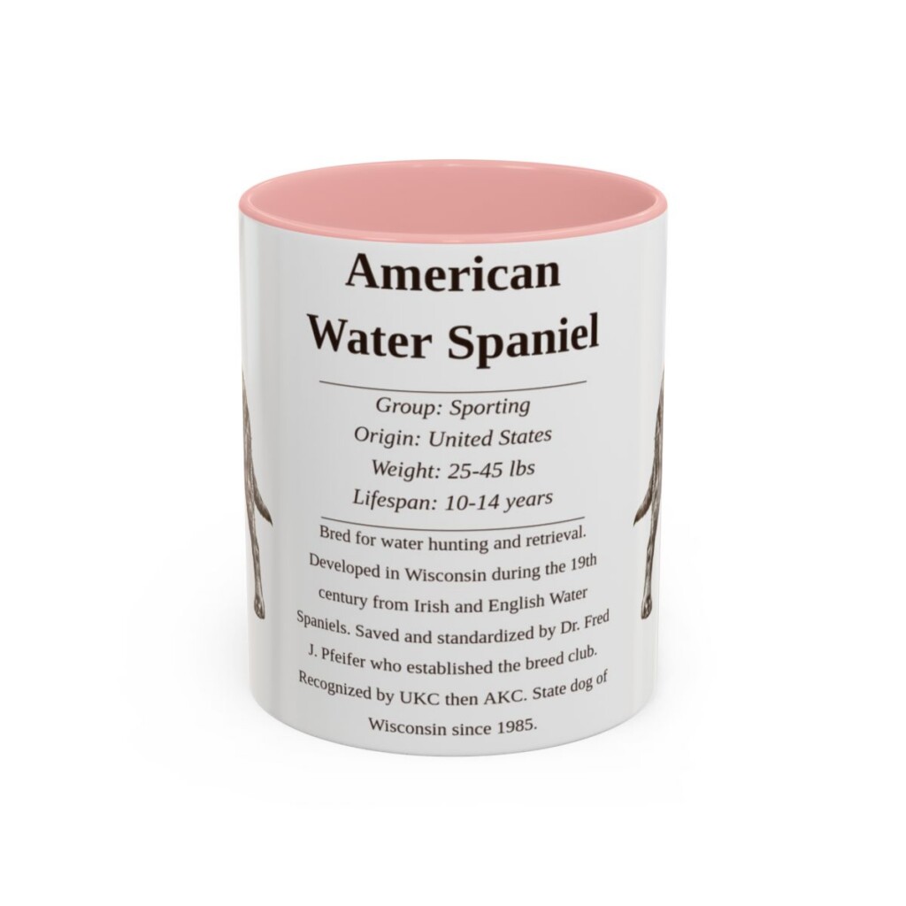 11oz American Water Spaniel Mug, Illustrated Dog Breed Facts Coffee Mug, Vintage Dog Keepsake Gift