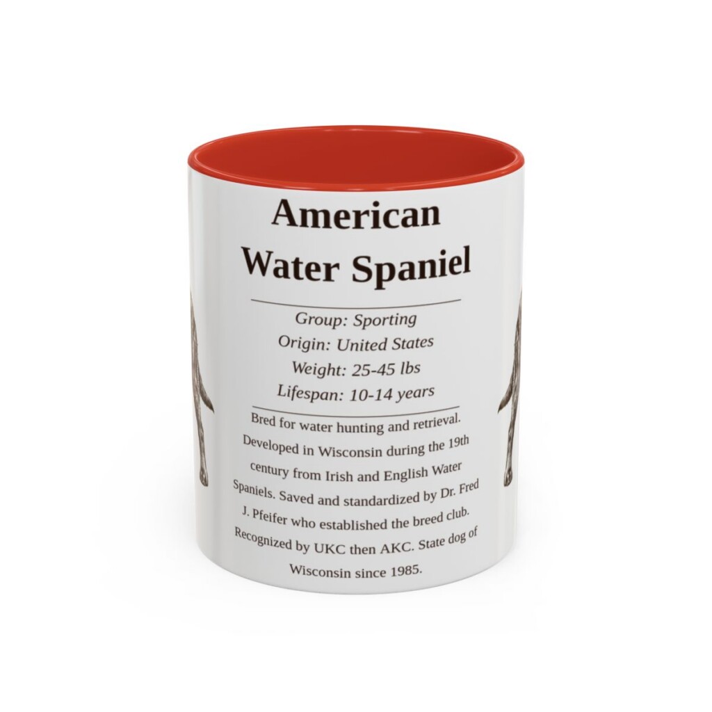 11oz American Water Spaniel Mug, Illustrated Dog Breed Facts Coffee Mug, Vintage Dog Keepsake Gift