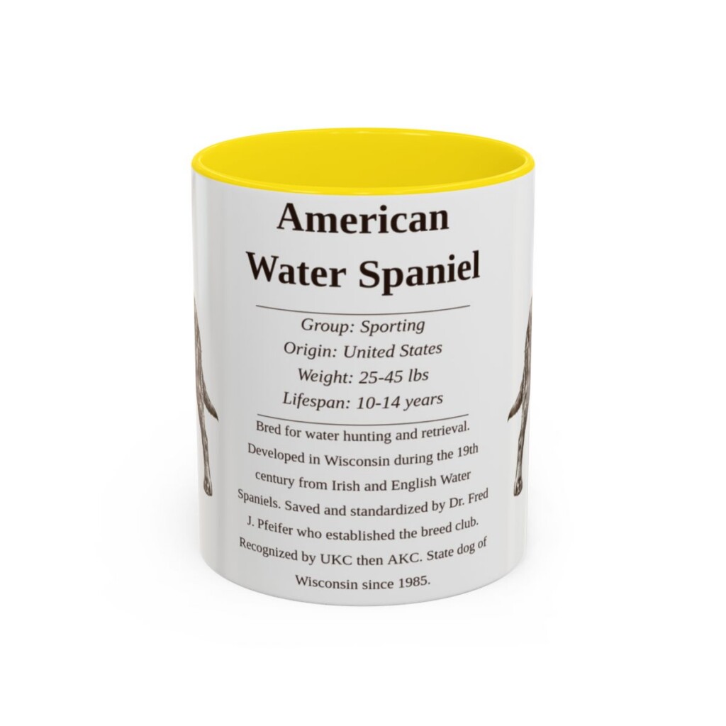 11oz American Water Spaniel Mug, Illustrated Dog Breed Facts Coffee Mug, Vintage Dog Keepsake Gift