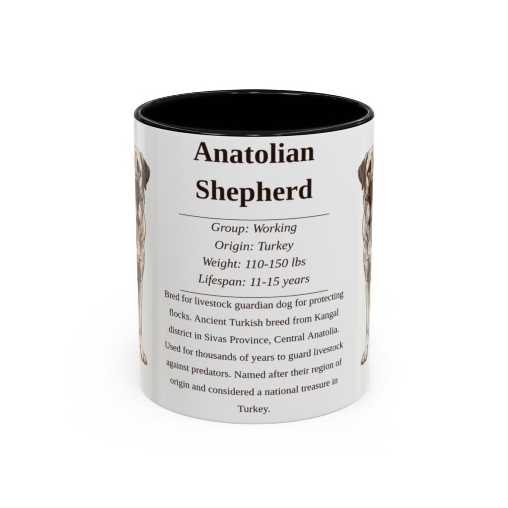 11oz Anatolian Shepherd Mug, Illustrated Dog Breed Facts Coffee Mug, Vintage Dog Keepsake Gift