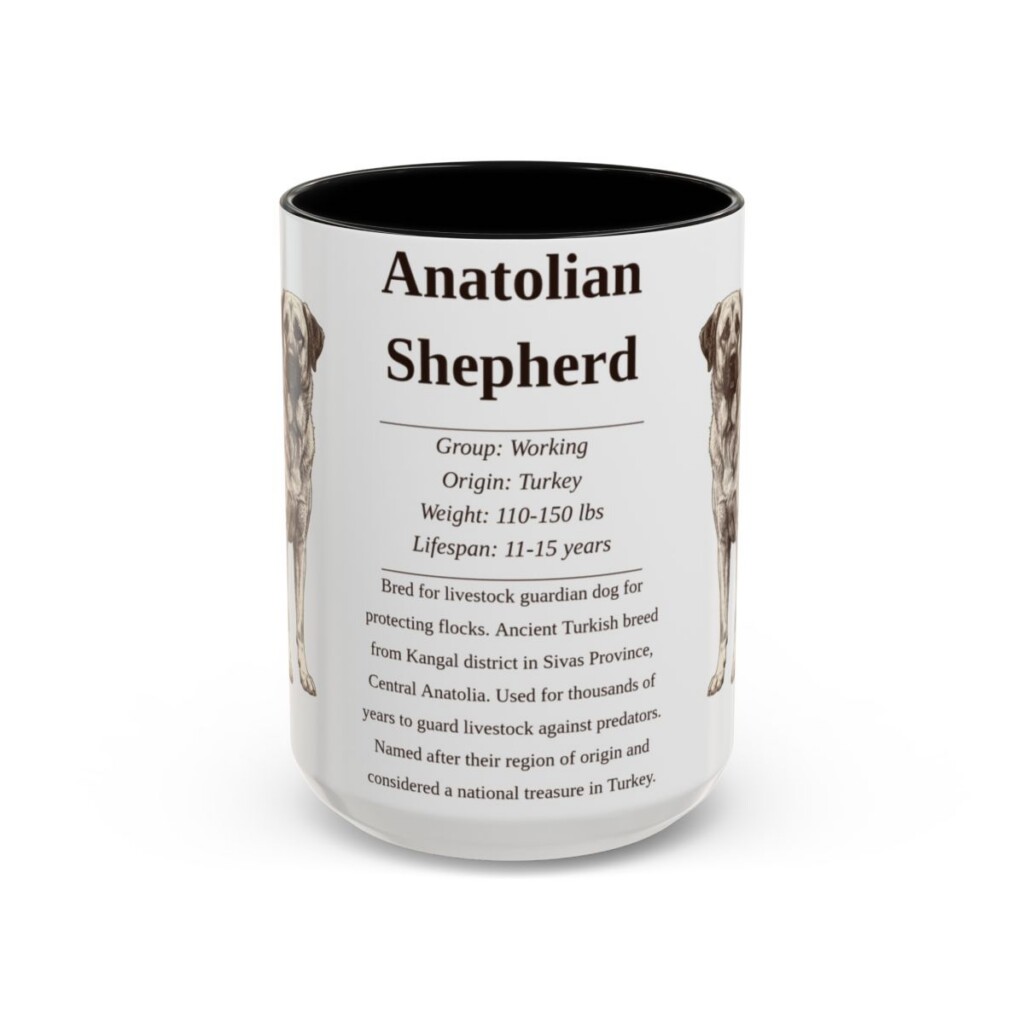 anatolian-shepherd-mug-writeup-black-front-3 15oz Anatolian Shepherd Mug, Illustrated Dog Breed Facts Coffee Mug, Vintage Dog Keepsake Gift