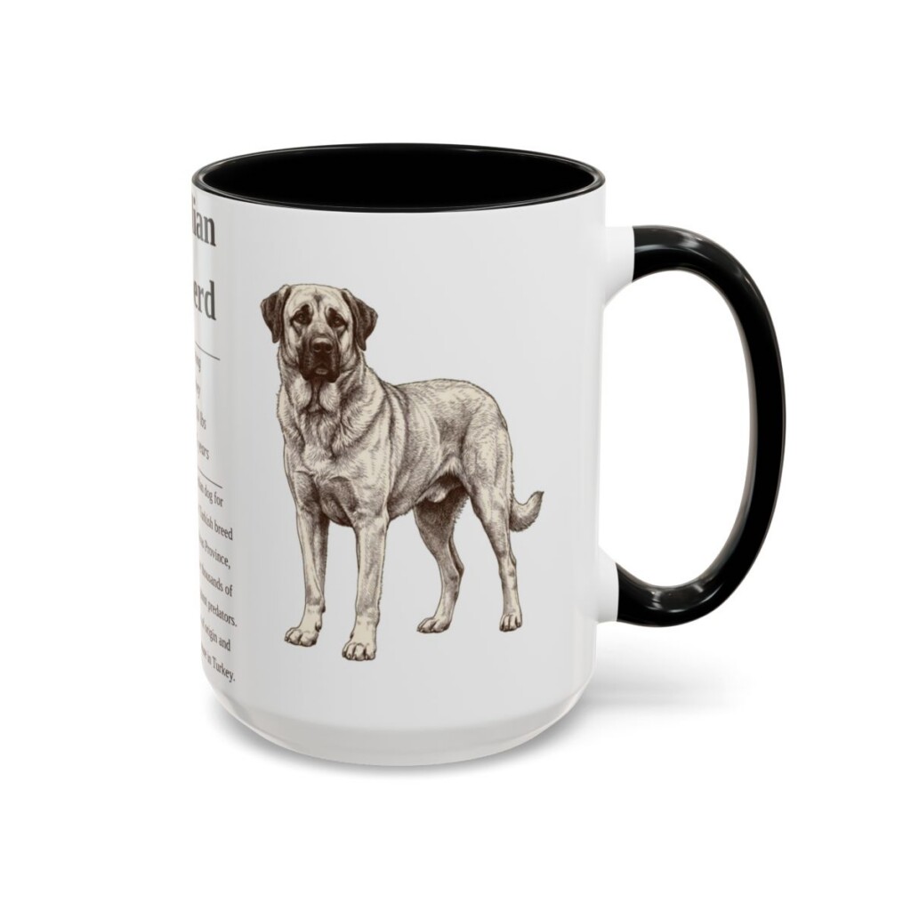 anatolian-shepherd-mug-writeup-black-right-3 15oz Anatolian Shepherd Mug, Illustrated Dog Breed Facts Coffee Mug, Vintage Dog Keepsake Gift