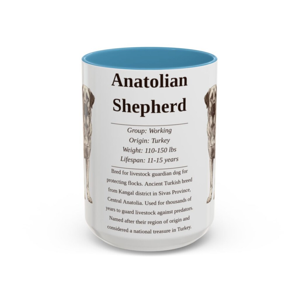anatolian-shepherd-mug-writeup-light-blue-3 15oz Anatolian Shepherd Mug, Illustrated Dog Breed Facts Coffee Mug, Vintage Dog Keepsake Gift