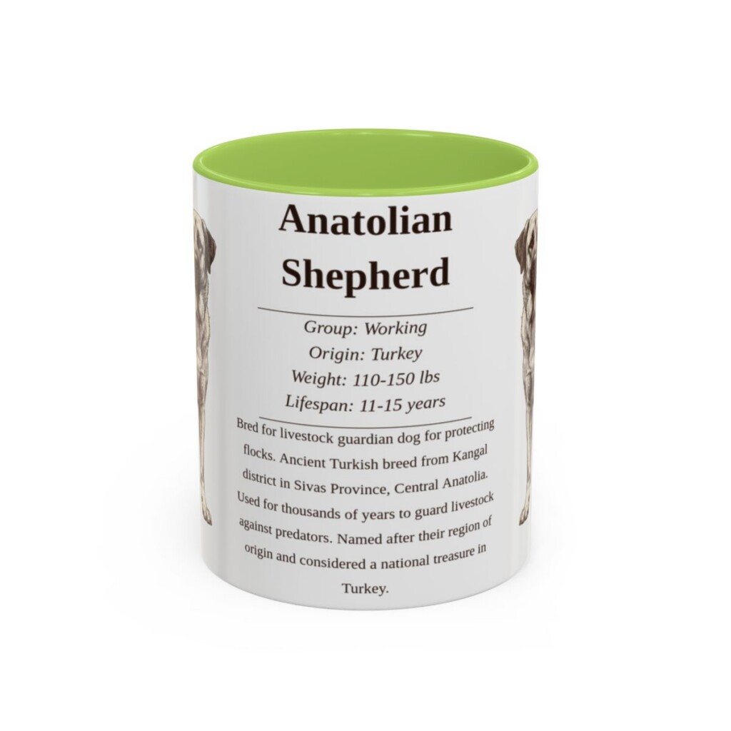 11oz Anatolian Shepherd Mug, Illustrated Dog Breed Facts Coffee Mug, Vintage Dog Keepsake Gift