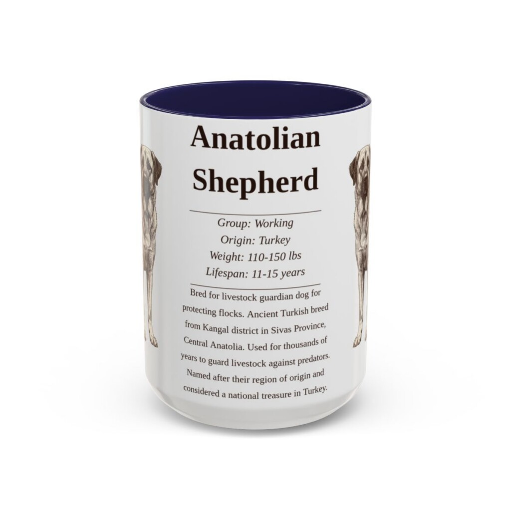 anatolian-shepherd-mug-writeup-navy-3 15oz Anatolian Shepherd Mug, Illustrated Dog Breed Facts Coffee Mug, Vintage Dog Keepsake Gift