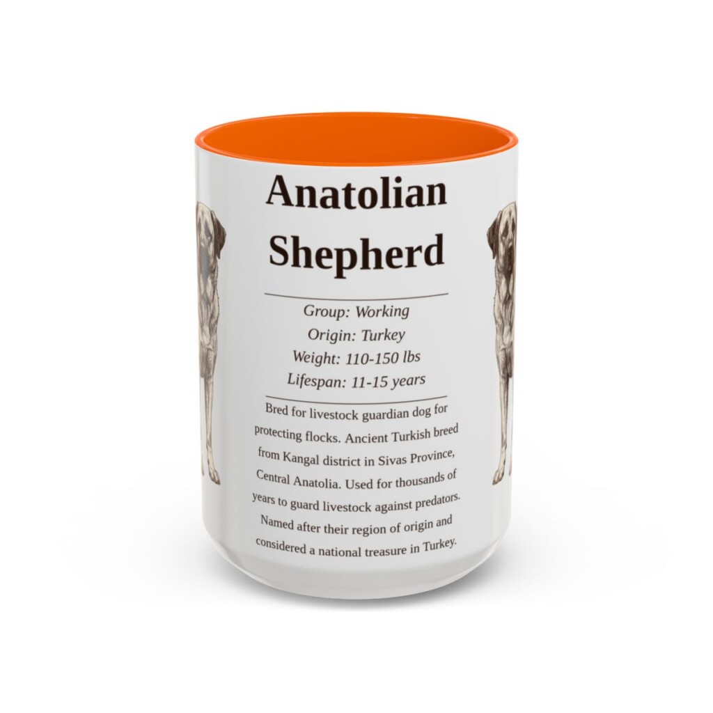 anatolian-shepherd-mug-writeup-orange-3 15oz Anatolian Shepherd Mug, Illustrated Dog Breed Facts Coffee Mug, Vintage Dog Keepsake Gift