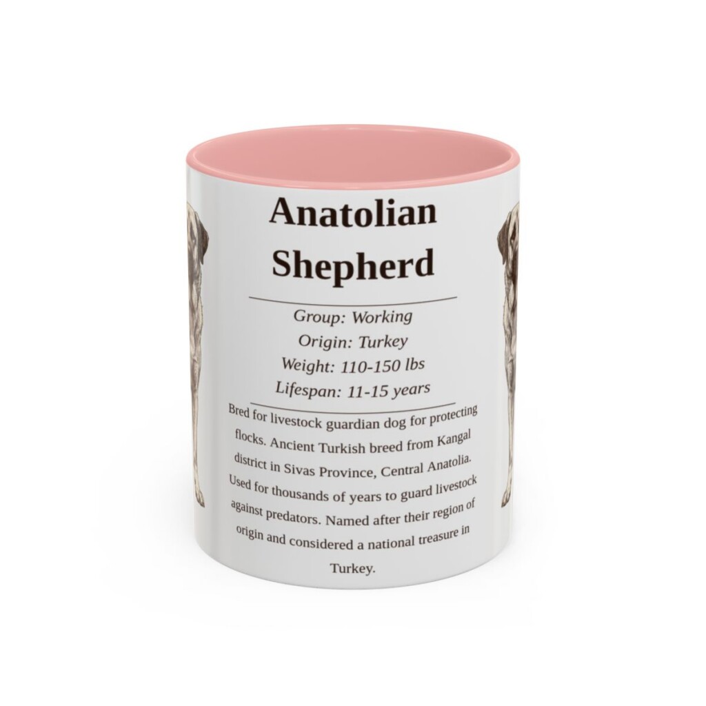 11oz Anatolian Shepherd Mug, Illustrated Dog Breed Facts Coffee Mug, Vintage Dog Keepsake Gift