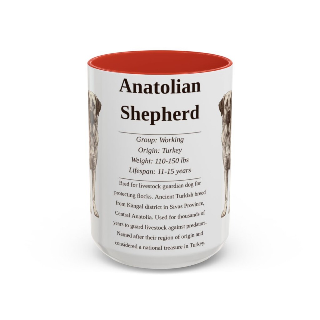 anatolian-shepherd-mug-writeup-red-3 15oz Anatolian Shepherd Mug, Illustrated Dog Breed Facts Coffee Mug, Vintage Dog Keepsake Gift