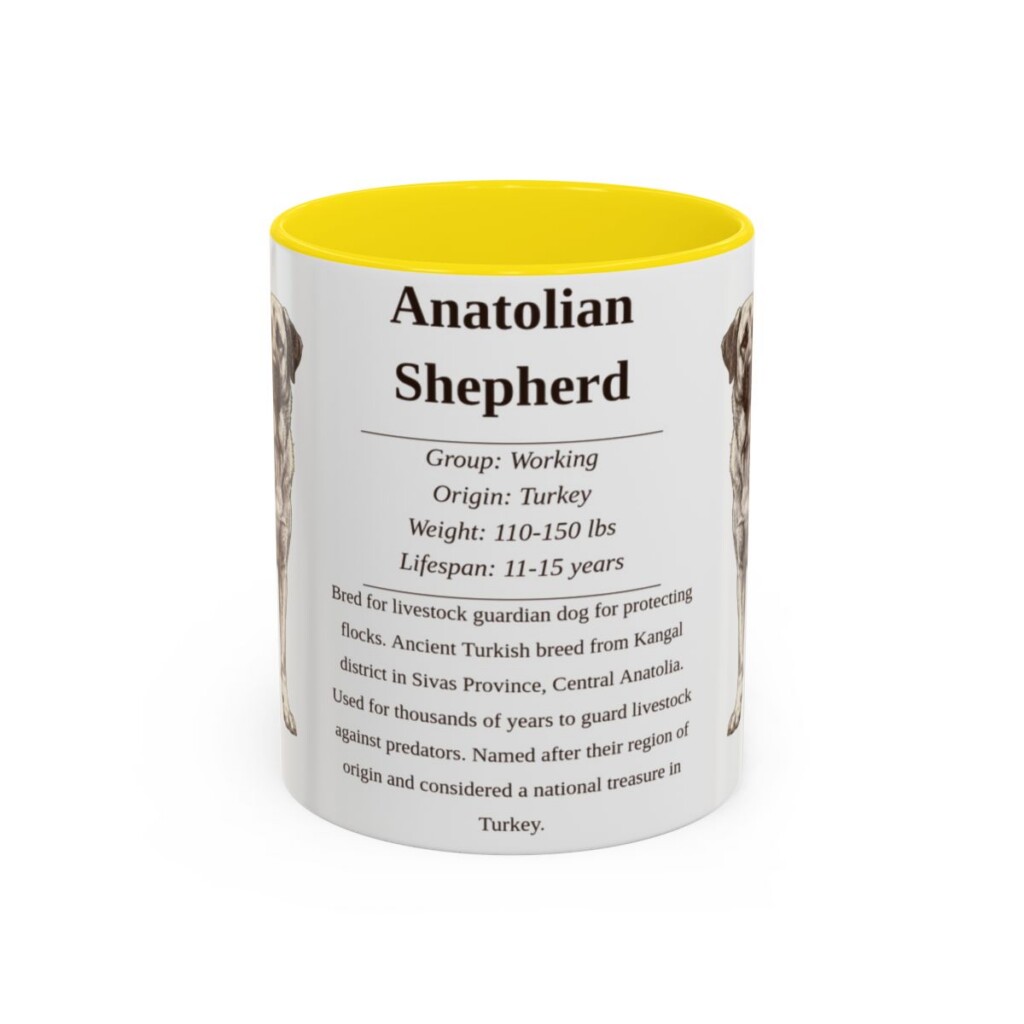 11oz Anatolian Shepherd Mug, Illustrated Dog Breed Facts Coffee Mug, Vintage Dog Keepsake Gift