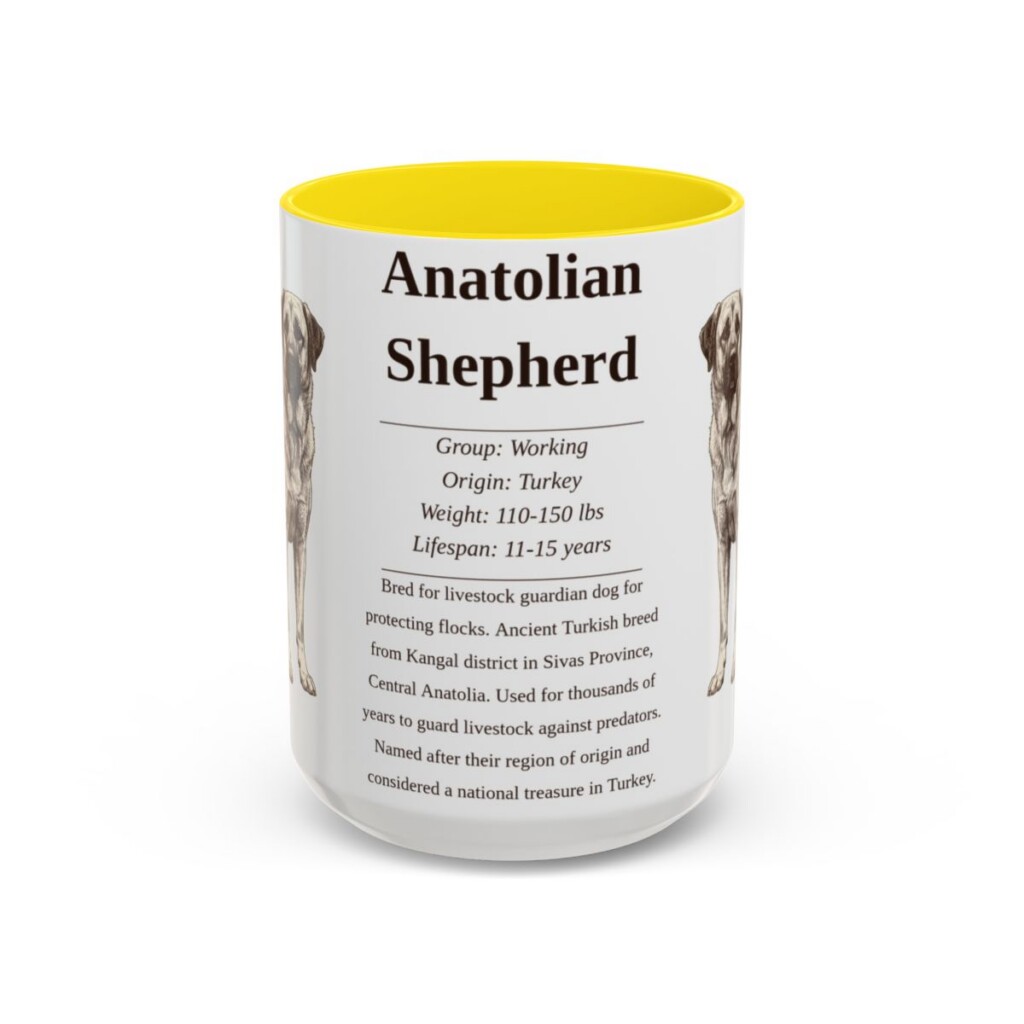 anatolian-shepherd-mug-writeup-yellow-3 15oz Anatolian Shepherd Mug, Illustrated Dog Breed Facts Coffee Mug, Vintage Dog Keepsake Gift