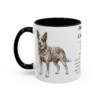 11oz Australian Cattle Dog Mug, Illustrated Dog Breed Facts Coffee Mug, Vintage Dog Keepsake Gift