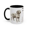 basset-fauve-de-bretagne-mug-writeup-black-left-1 11oz Basset Fauve de Bretagne Mug, Illustrated Dog Breed Facts Coffee Mug, Vintage Dog Keepsake Gift
