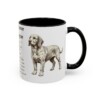 basset-fauve-de-bretagne-mug-writeup-black-right-1 11oz Basset Fauve de Bretagne Mug, Illustrated Dog Breed Facts Coffee Mug, Vintage Dog Keepsake Gift