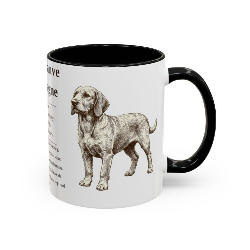 basset-fauve-de-bretagne-mug-writeup-black-right-1 11oz Basset Fauve de Bretagne Mug, Illustrated Dog Breed Facts Coffee Mug, Vintage Dog Keepsake Gift