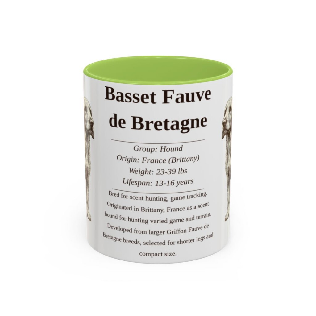 basset-fauve-de-bretagne-mug-writeup-light-green-1 11oz Basset Fauve de Bretagne Mug, Illustrated Dog Breed Facts Coffee Mug, Vintage Dog Keepsake Gift