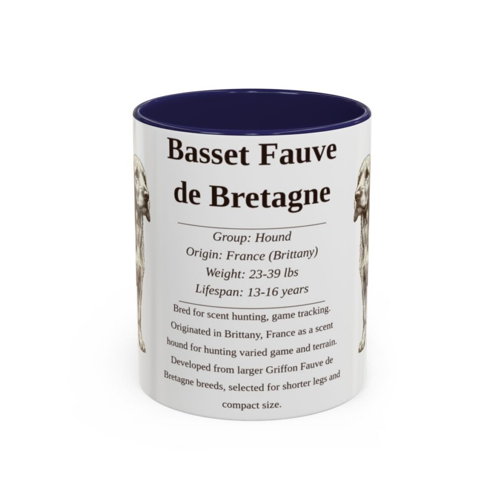 basset-fauve-de-bretagne-mug-writeup-navy-1 11oz Basset Fauve de Bretagne Mug, Illustrated Dog Breed Facts Coffee Mug, Vintage Dog Keepsake Gift